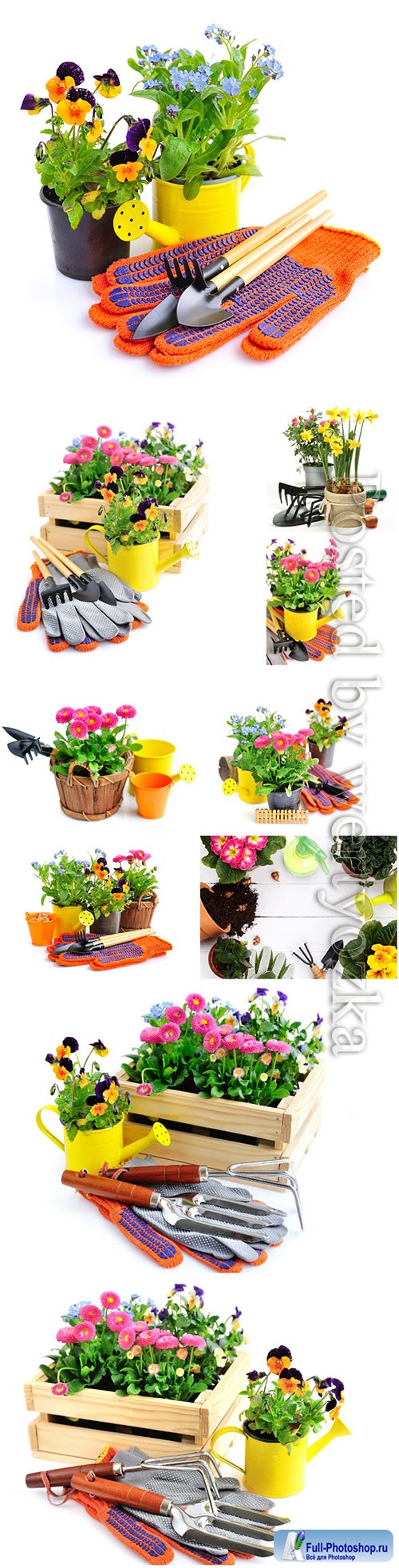 Gardening tools and spring flowers