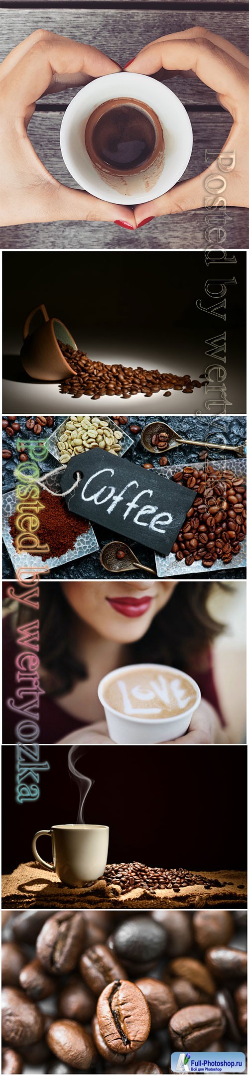 Coffee beans beautiful stock photo