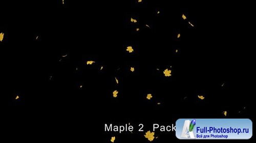 Videohive - Maple leaves 4K - 24998887