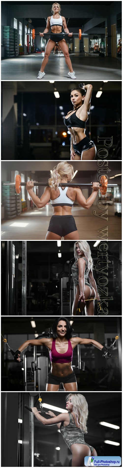 Girls in the gym, beauty and health