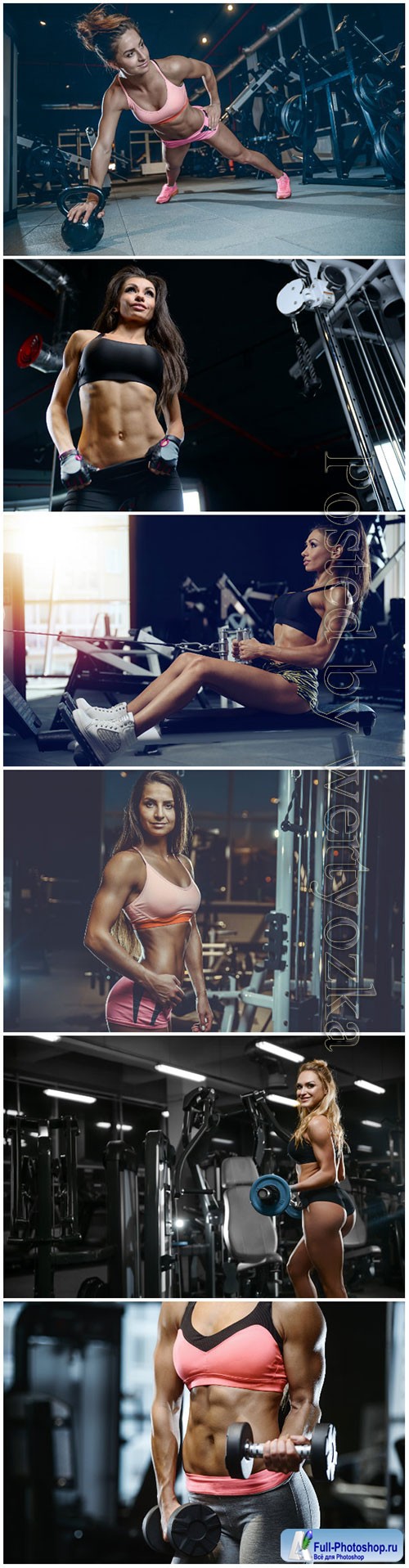 Beautiful girls in the gym