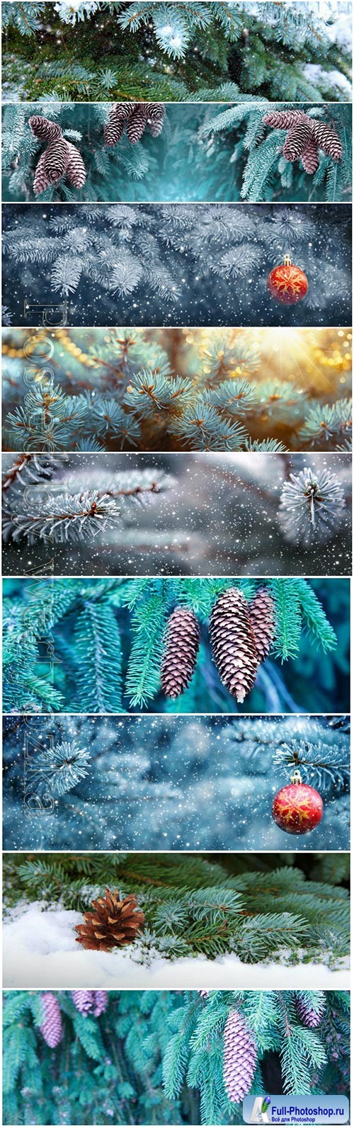 Background of Christmas tree branches with big fir cones