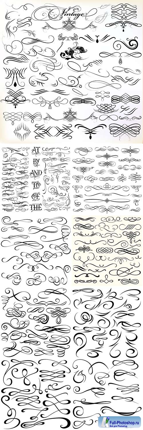 Set of vector graphic elements in calligraphic or floral design style