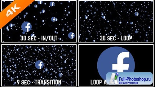 Videohive - FaceBook Space - Logo - 23687215