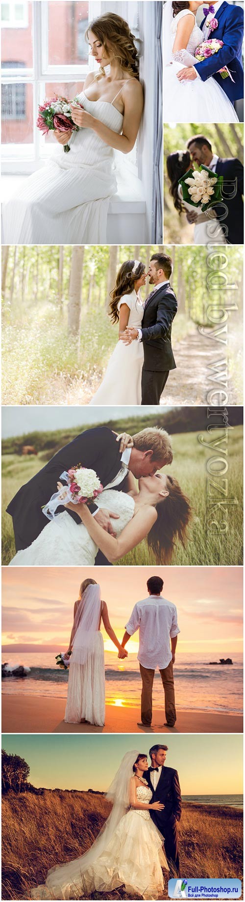 Wedding, couples in love, bride and groom stock photo