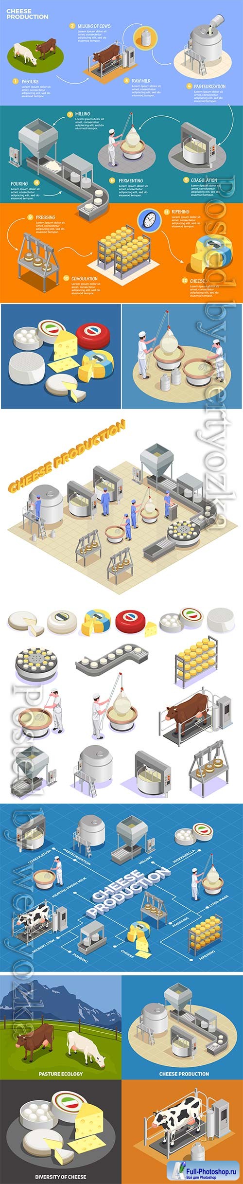 Isometric cheese production illustrates the process of milk yield