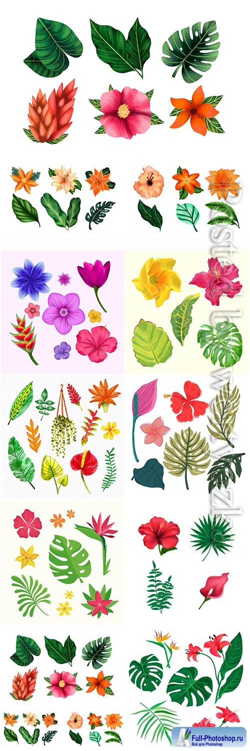 Tropical flowers and leaves, vector illustration