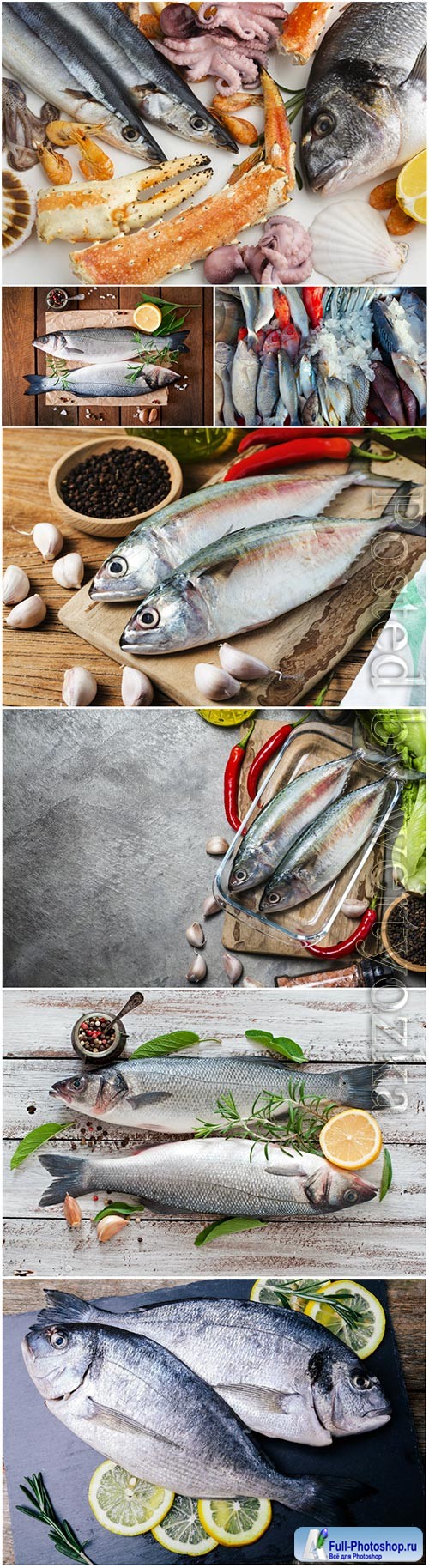 Fresh fish and seafood stock photo