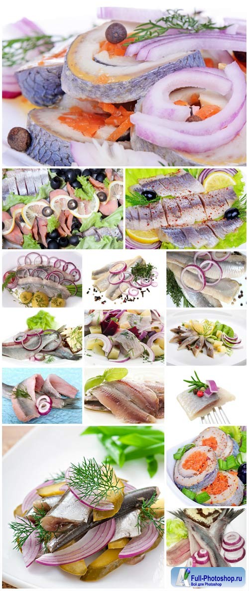 Seafood, herring with onions stock photo