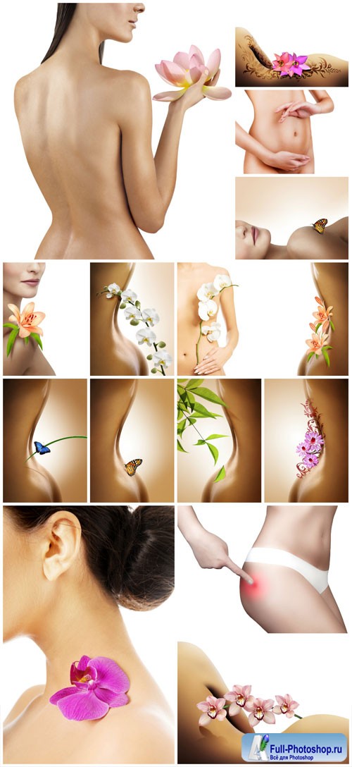 Beautiful female figures stock photo