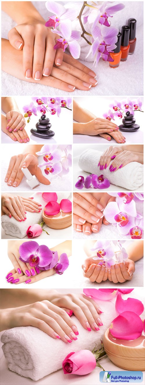 Female manicure, female hands and orchid flowers stock photo