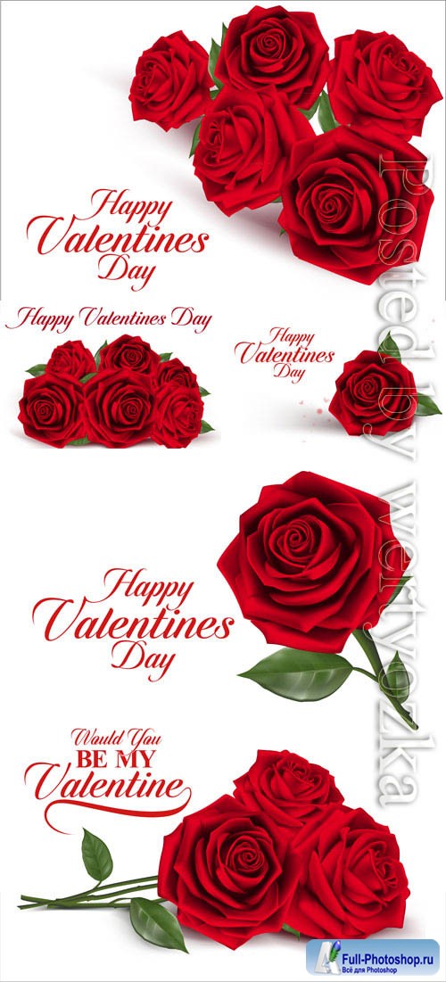 Valentine's day, red roses in vector