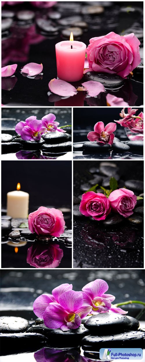 Candles, spa stones, orchids and roses stock photo