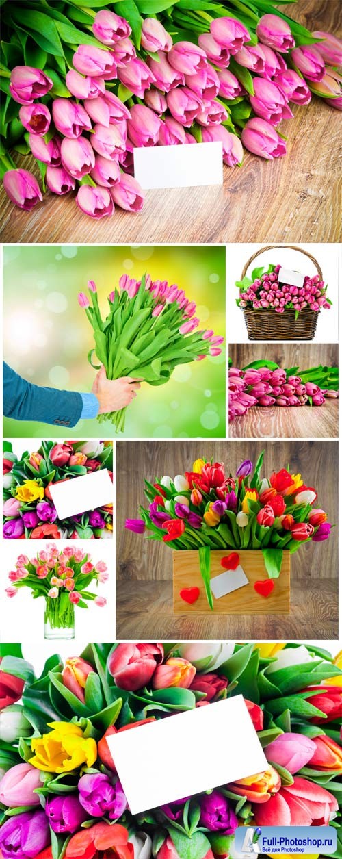 Bouquets of colorful tulips stock photo