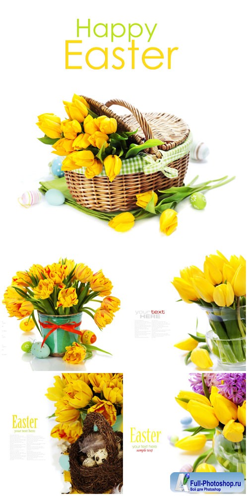 Yellow tulips, easter composition stock photo