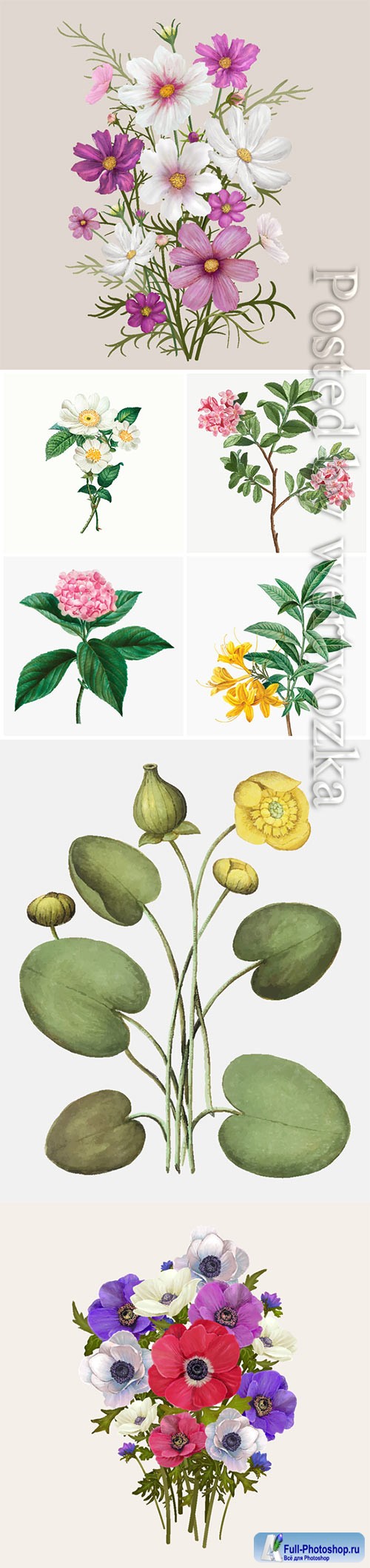 Vector different flowers