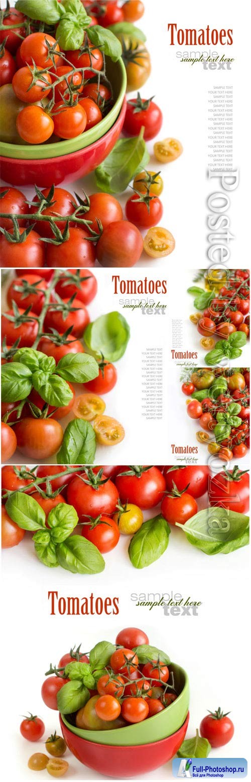 Tomatoes on white background stock photo