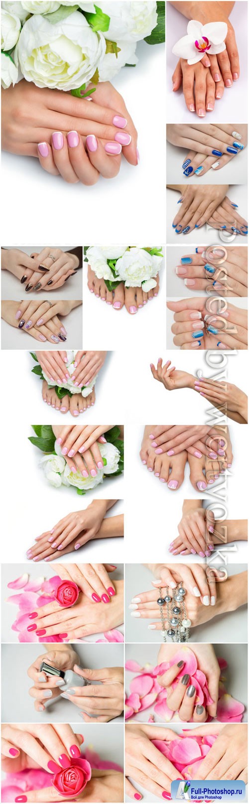 Pedicure and manicure, beautiful handles with flowers stock photo