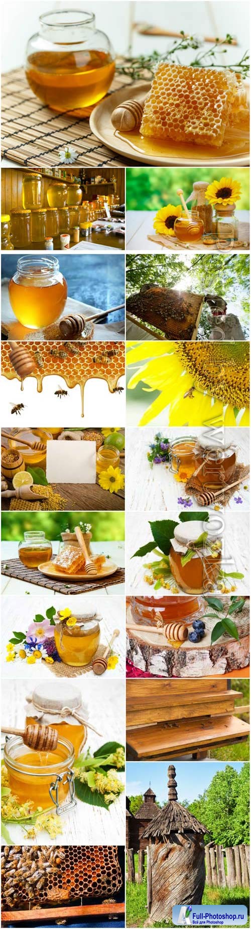 Bees and honey stock photo