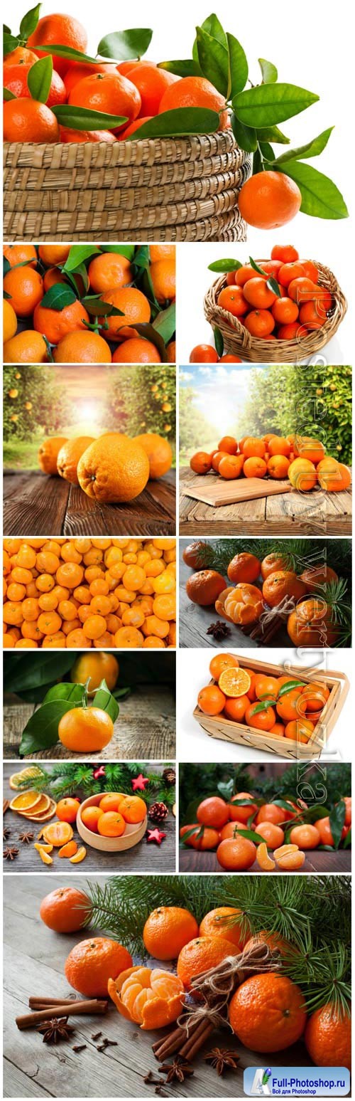 Tangerines and oranges stock photo