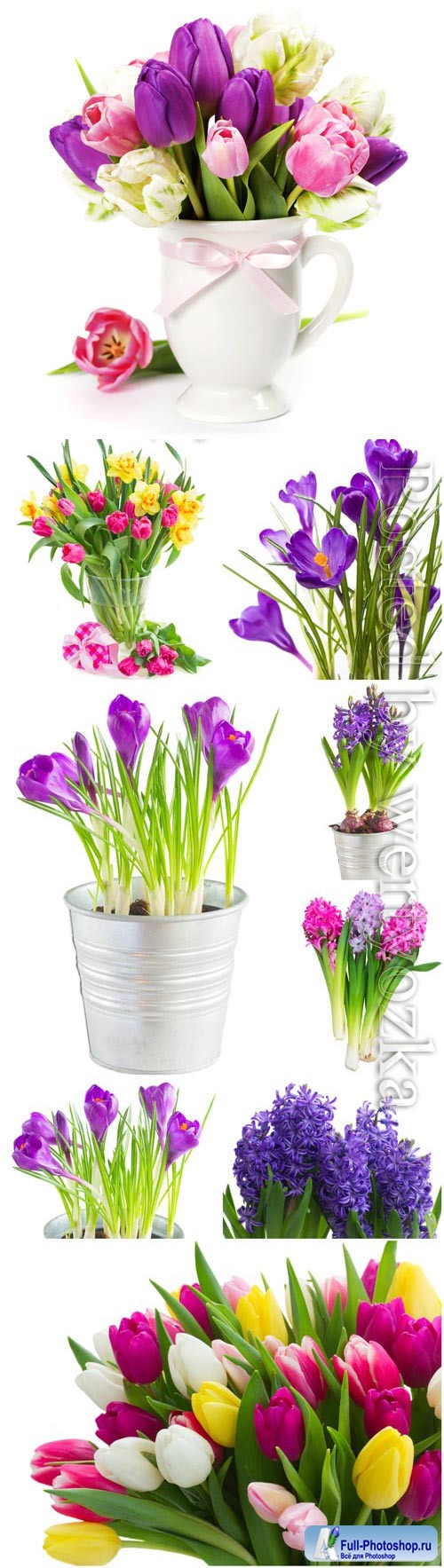 Hyacinths, crocuses and tulips stock photo
