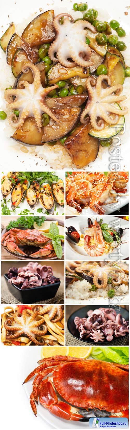 Crabs, mussels and shrimps stock photo