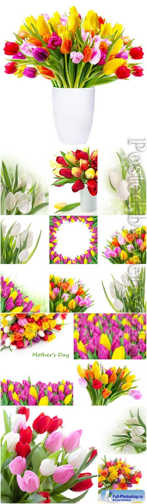 Tulips of different varieties stock photo