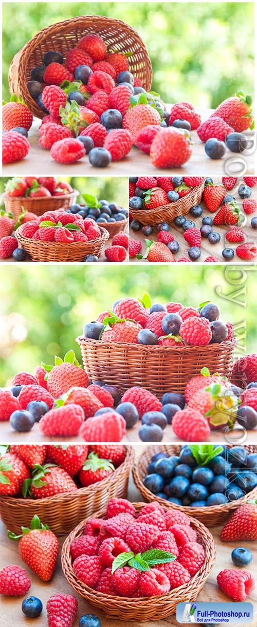 Basket with raspberries and blueberries stock photo