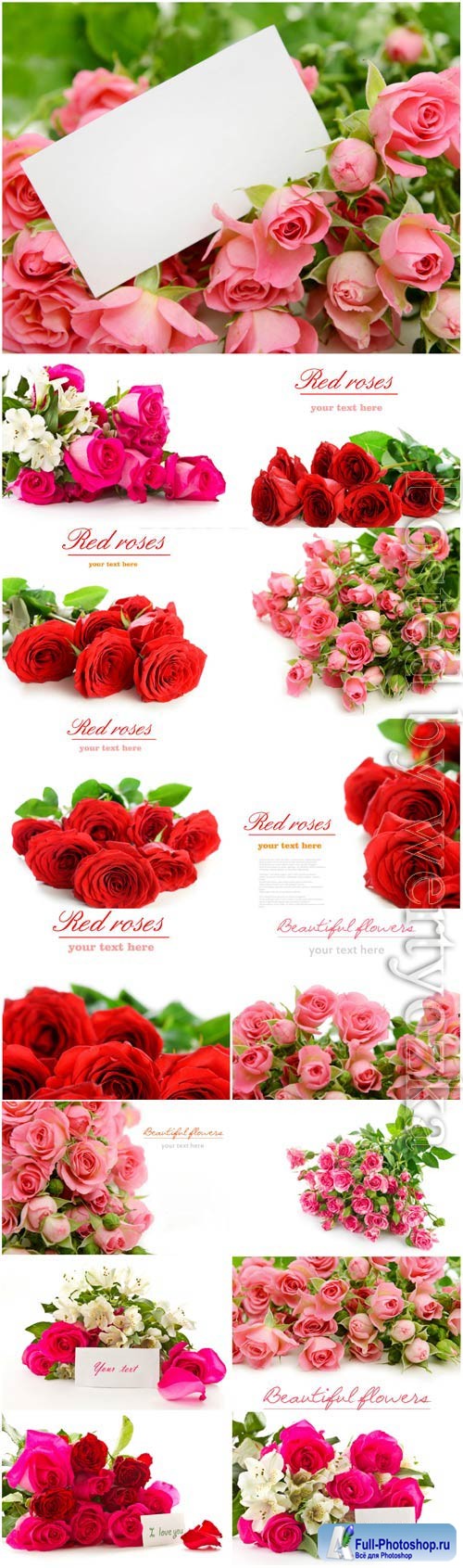 Bouquets of lovely roses stock photo