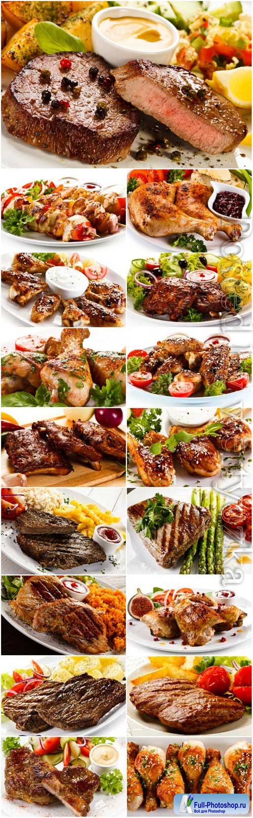 Meat dishes with garnish stock photo