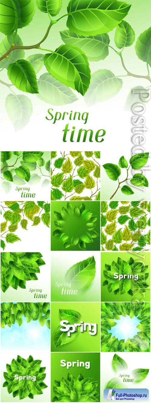 Green leaves on white background in vector