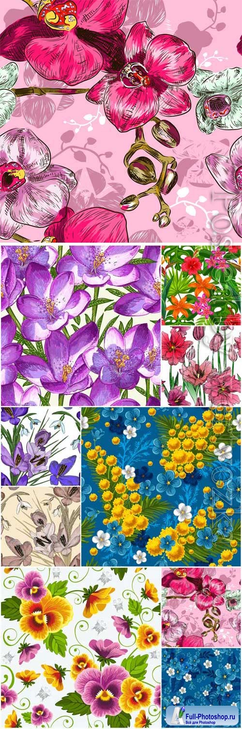 Backgrounds with orchids, poppies and other flowers in vector