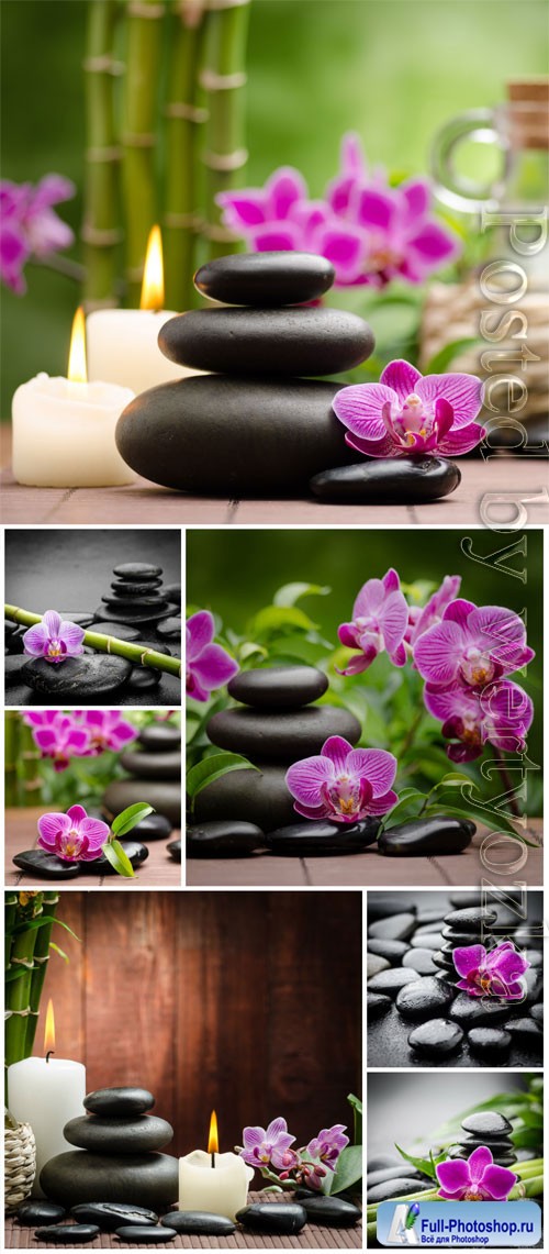 Orchids and spa stones stock photo