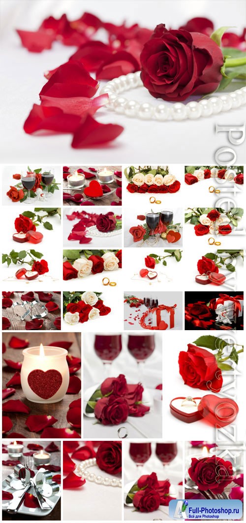 Red roses and engagement ring stock photo