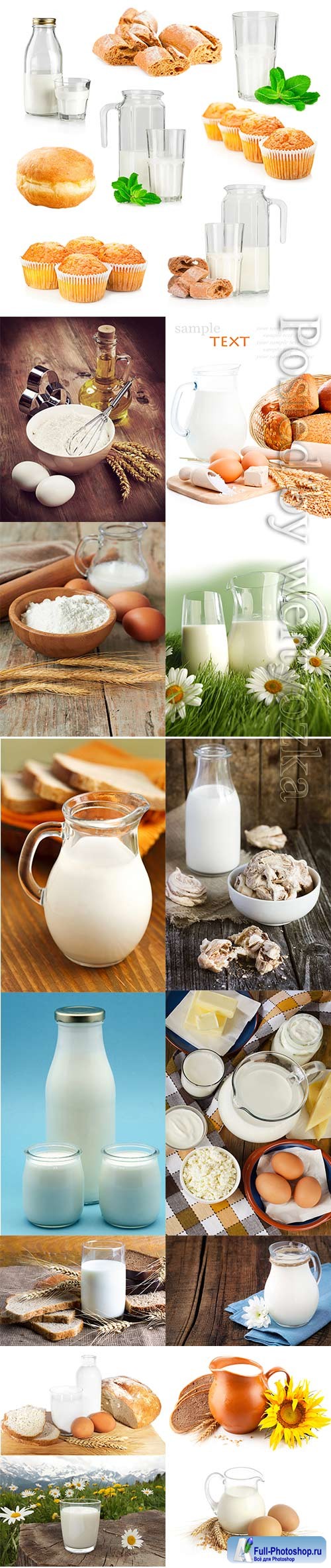 Milk and dairy products stock photo