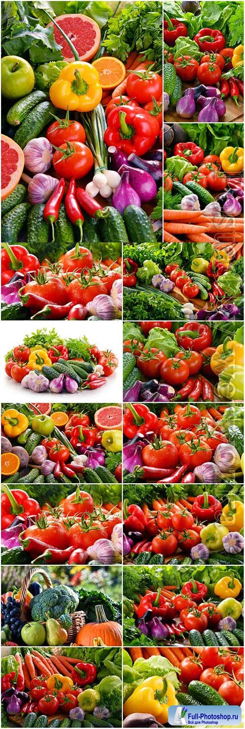 Set of fresh vegetables stock photo