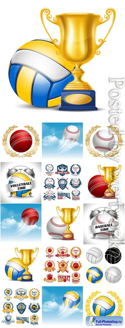 Sports items, balls and cups in vector