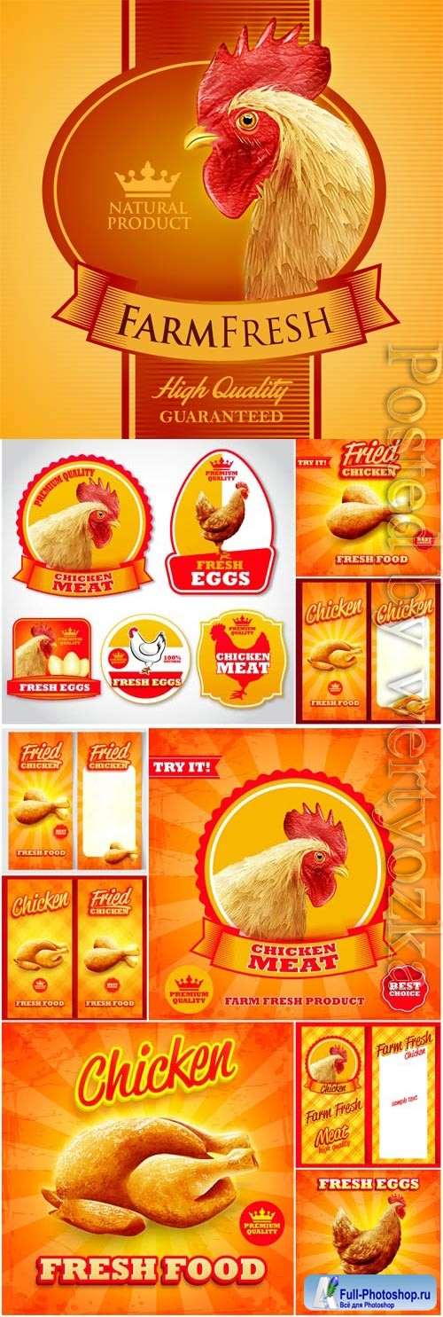 Chicken and meat promotional posters in vector