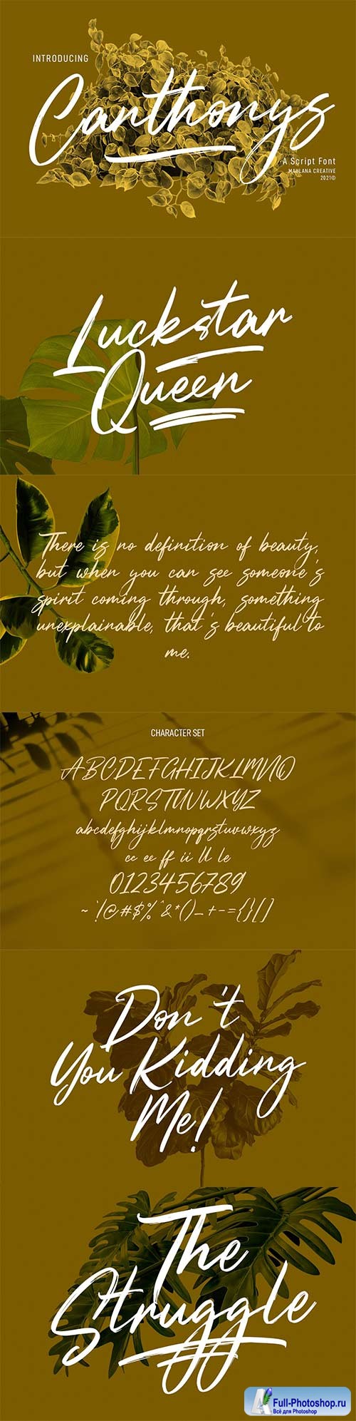 Canthonys Brush Script Font