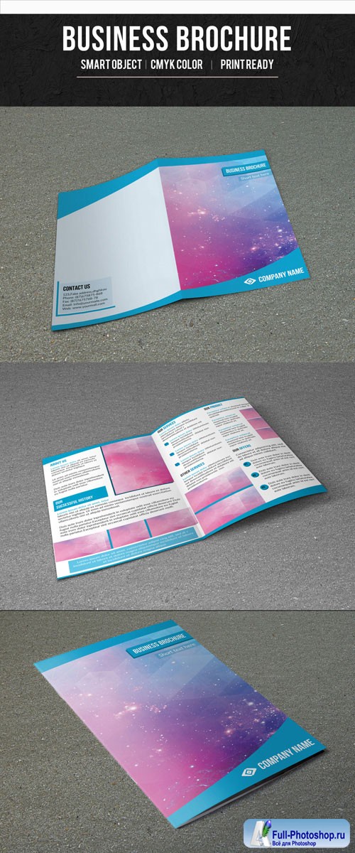 Single Fold Business Brochure with Blue Border Layout 1