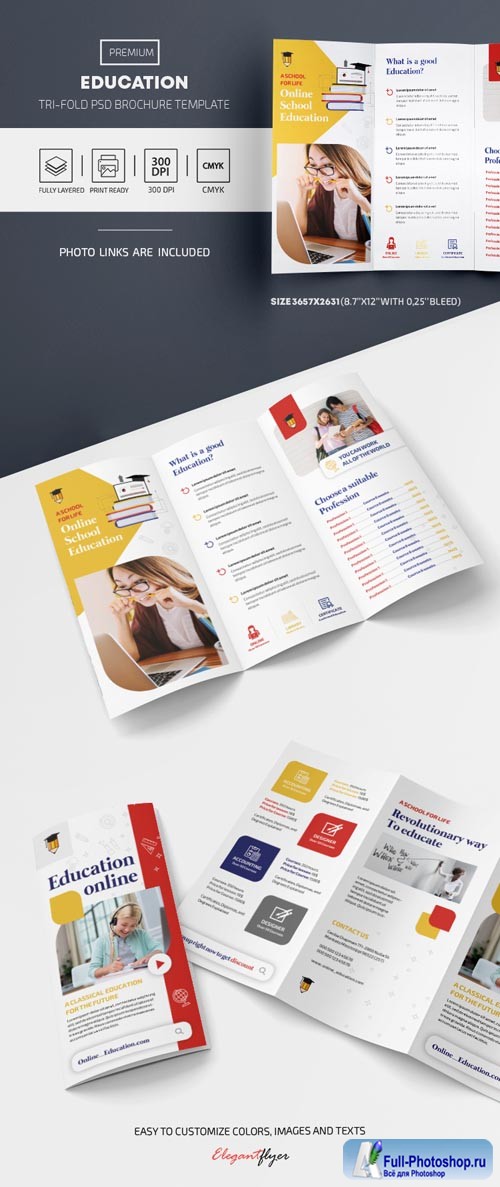 Education Tri Fold Brochure Template