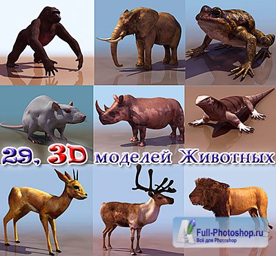 29, 3D моделей разнообразных Животных