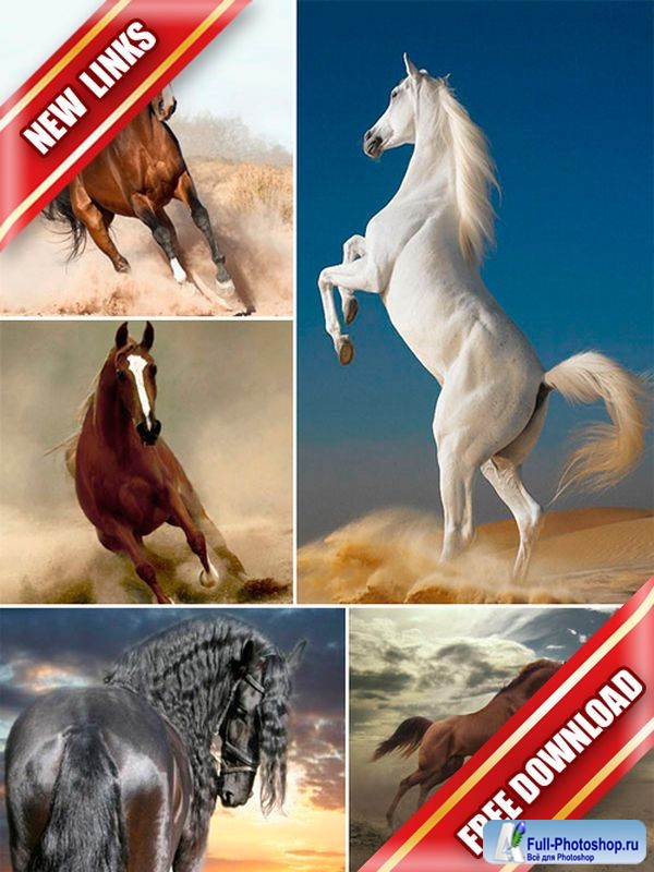 Фотосток: животные - лошади, кони, скакуны (рабочие ссылки, бесплатные файлообменники)